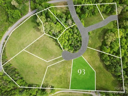 124 Lilikoi Lane 93