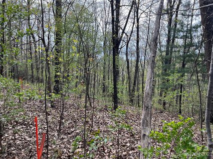 99999 Buffalo Trail 86