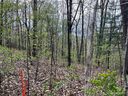 99999 Buffalo Trail 86 sold home in Asheville, SC