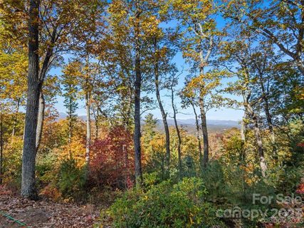 64 Giffords Lane sold lot in Pinchot Forest, Asheville, NC