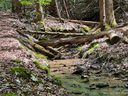 Lot 309 Campbell Drive sold home in Pisgah Forest, SC
