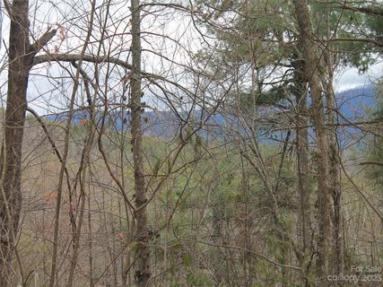 0000 Wildlife Trail active lot in Kanuga Ridge, Hendersonville, NC