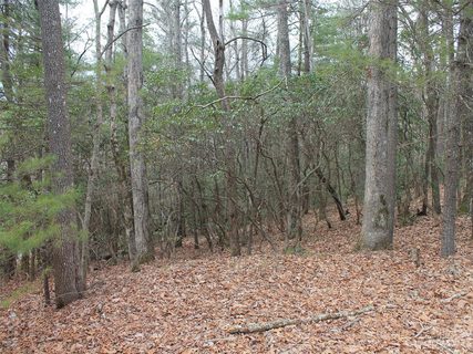 000 Wildlife Trail 1.16 ACRES sold lot in Kanuga Ridge, Hendersonville, NC
