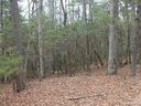000 Wildlife Trail 1.16 ACRES sold home in Hendersonville, SC