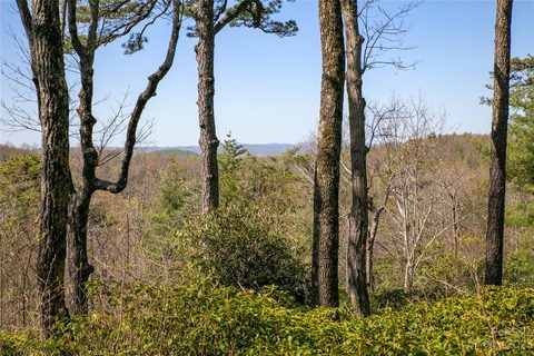Lot 32 Sahalee Trail sold lot in Blue Moon on Pinnacle Peak, Hendersonville, NC