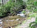 000 Chestnut Flats Lane 13 sold home in Waynesville, SC