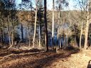 4054 Nesting Lane 30 sold home in Valdese, SC