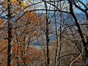 14 Great Aspen Way 125 sold home in Black Mountain, SC
