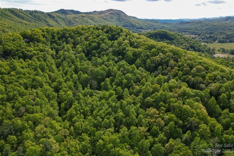 00 Foster Hill Drive sold land listing in Blue Ridge Estates, Hendersonville, NC
