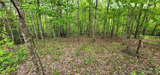Lot 23 S Cross Creek Trail sold home in Mountain Laurel Estates, Mill Spring, NC