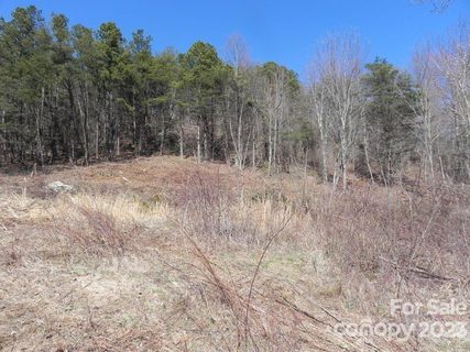 95 Dj Drive 330 sold land listing in Butler Mountain Highlands, Fairview, NC