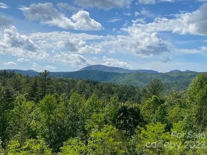 Lot 58 Peppervine Circle