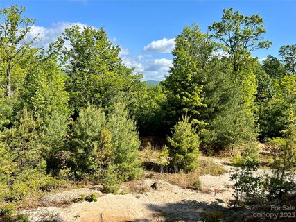 Lot 3a Forest Park Road 3A sold lot in Pisgah Forest Farms, Pisgah Forest, NC