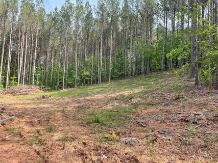 Lot 19 Sunset Drive sold home in Hillcrest, Mill Spring, NC