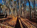 129 Hunt Camp Trail sold home in Davidson, SC