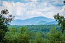 1711 Pisgah Preserve Drive 75 sold home in Nebo, SC