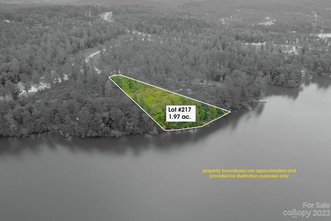 0000 Big View Lane 217
