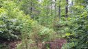 3125 Bear Paw Avenue 21 sold home in Valdese, SC