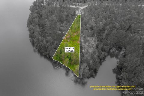 0000 Big View Lane 218