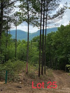Lot 25 Monteith Place active home in Brights Creek, Mill Spring, NC
