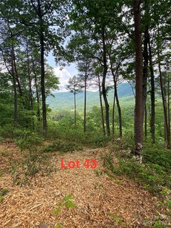 Lot 43 Deep Gap Farm Road active home in Brights Creek, Mill Spring, NC