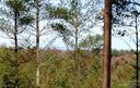 2313 Waterside Boulevard 52 sold home in Valdese, SC