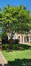 9303 Greenheather Drive sold home in Huntersville, SC