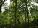 Lot 9 Club Road sold home in Tryon, SC