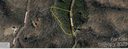 0 Fire Tower Road 7 sold home in Bostic, SC