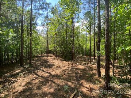 213 High Meadows Lane 29 sold lot in Black Rock Falls, Rutherfordton, NC