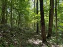 00 Old Country Road 309 sold home in Waynesville, SC