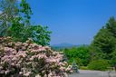 156 High Peak Drive sold home in Boone, SC