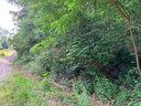 00 Roberts Trail sold home in Lake Lure, SC