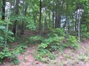 00 Caledonia Road sold home in Landrum, SC