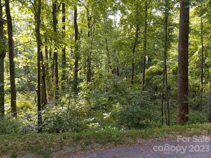 Lt 171 Catawba Drive