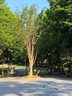 7301 Bay Cove Court sold home in Denver, SC