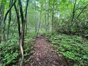 0000 Marshall Lake Road sold home in Cedar Mountain, SC