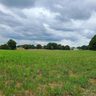 Approx 8 176 On Tite Road sold home in Stanfield, SC