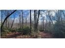 Lot 17 Deer Run sold home in Deer Run Estates, Black Mountain, NC