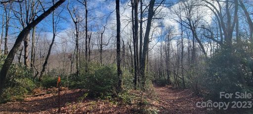18 Deer Run sold home in Deer Run Estates, Black Mountain, NC