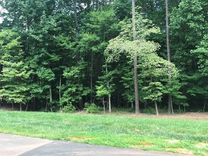 6228 Hollow Oak Road 84