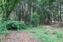 Lot 29 Whispering Pines Circle sold home in Forest City, SC