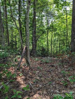 Tbd Erwin Hill Drive 25,26 sold lot in Laurel Cove Retreat, Etowah, NC