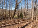 115 Lindon Cove Road 33 sold home in Candler, SC
