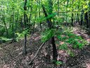 Lot 143 Eagles Avenue sold home in Lake Lure, SC