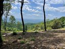 0000 East Garden Trail Lot 38 sold home in Hendersonville, SC