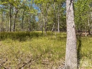 0000 Zackary Lane pending home in Green River Highlands, Rutherfordton, NC