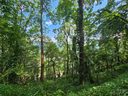 Lot 21 Cub Trail sold home in Maggie Valley, SC
