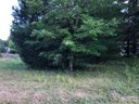 1545 W Ridge Road sold home in Salisbury, SC