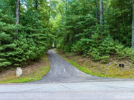 36 Dividing Ridge Trail 5